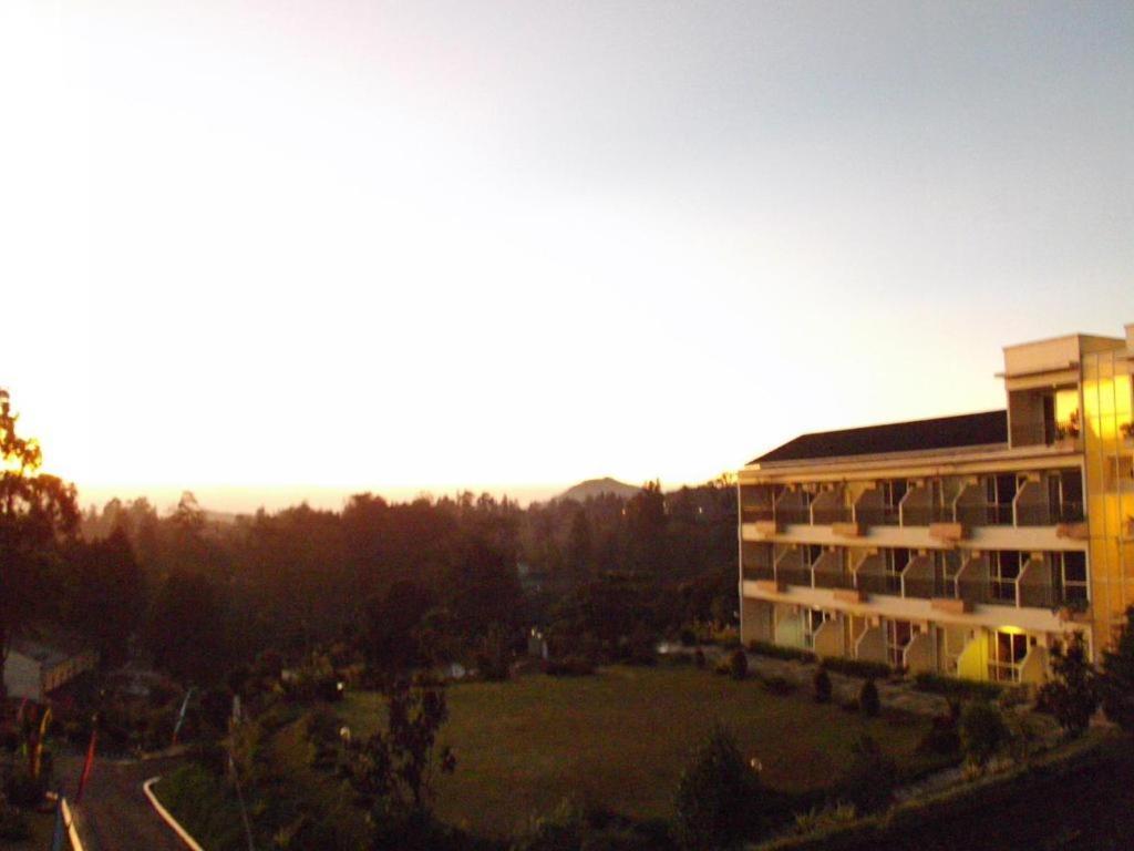 Rosa Puncak