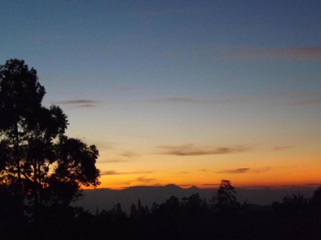 Rosa Hotel Puncak
