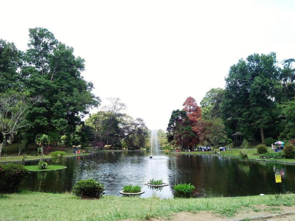 Hotel Rosa Puncak