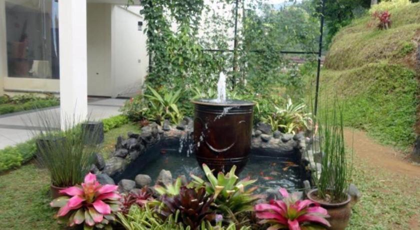 Rosa 4* Puncak