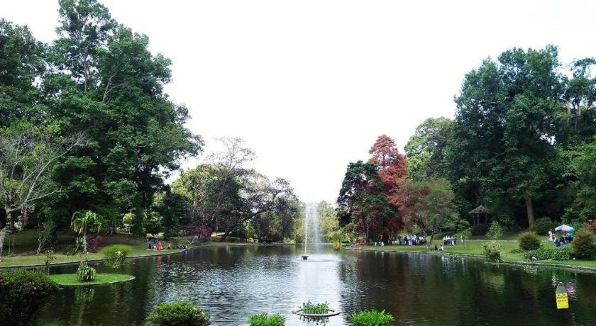 Hotel Rosa Puncak